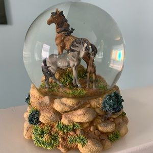 Nat Geo Mustang SF Music Box Co Water Globe
